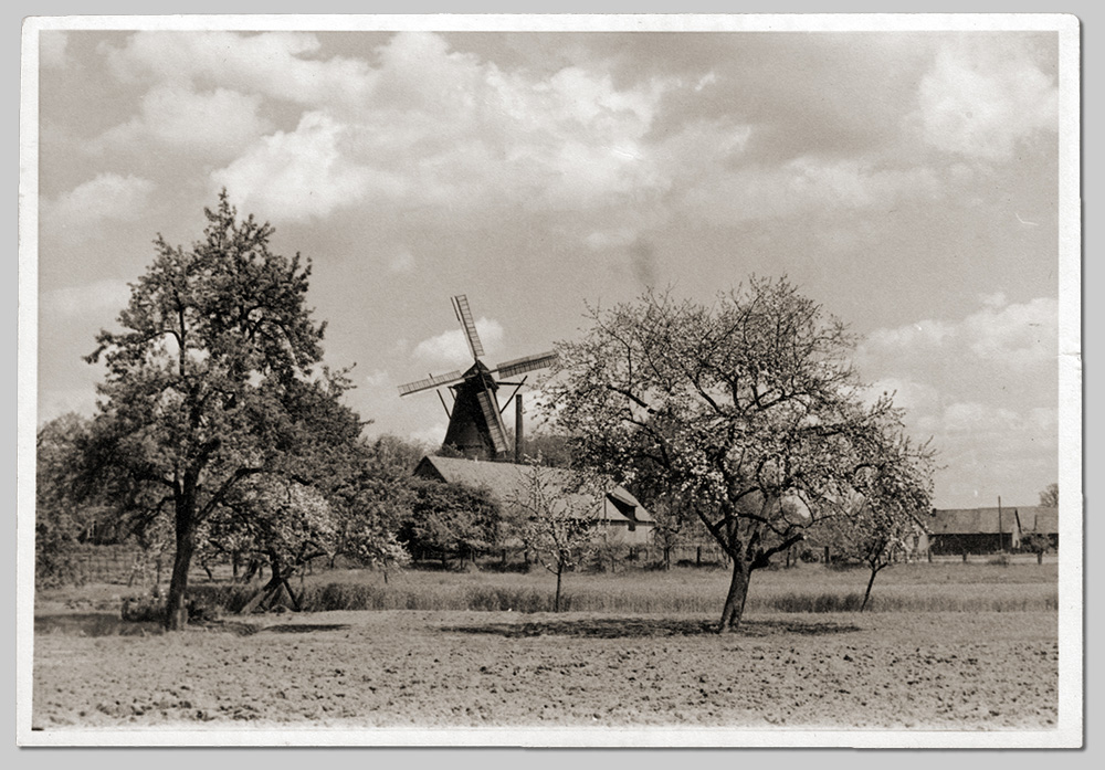 Die Eystruper Mühle um 1960