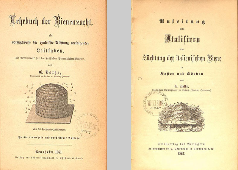 Lehrbuch der Bienenzucht und Anleitung zum Italisieren