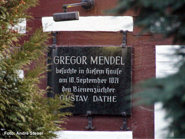 Gedenktafel  am ehemaligen Dathe-Haus in der Strubenstraße 12 