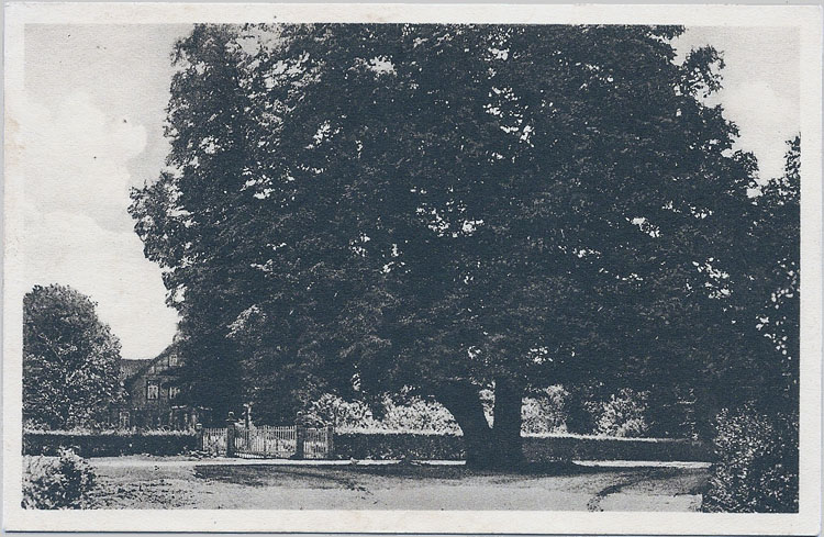 Alte Ansichtskarte aus Eystrup