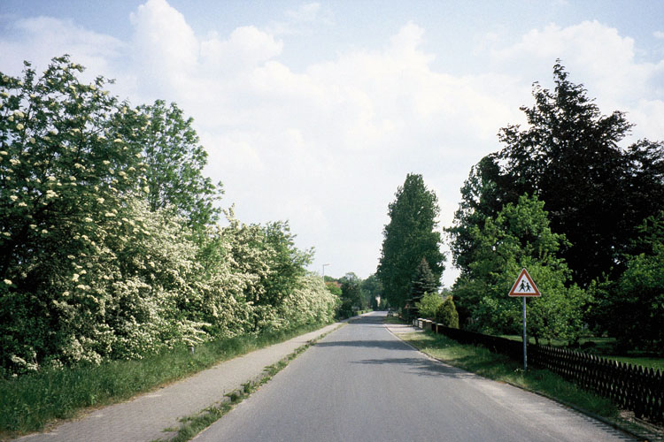 Die Doenhauser Straße Rechts das Grundstück der Familie Kortebein. Die Pappeln im Hintergrund rechts stehen am Jugendheim. Die linke Straßenseite ist heute bebaut.