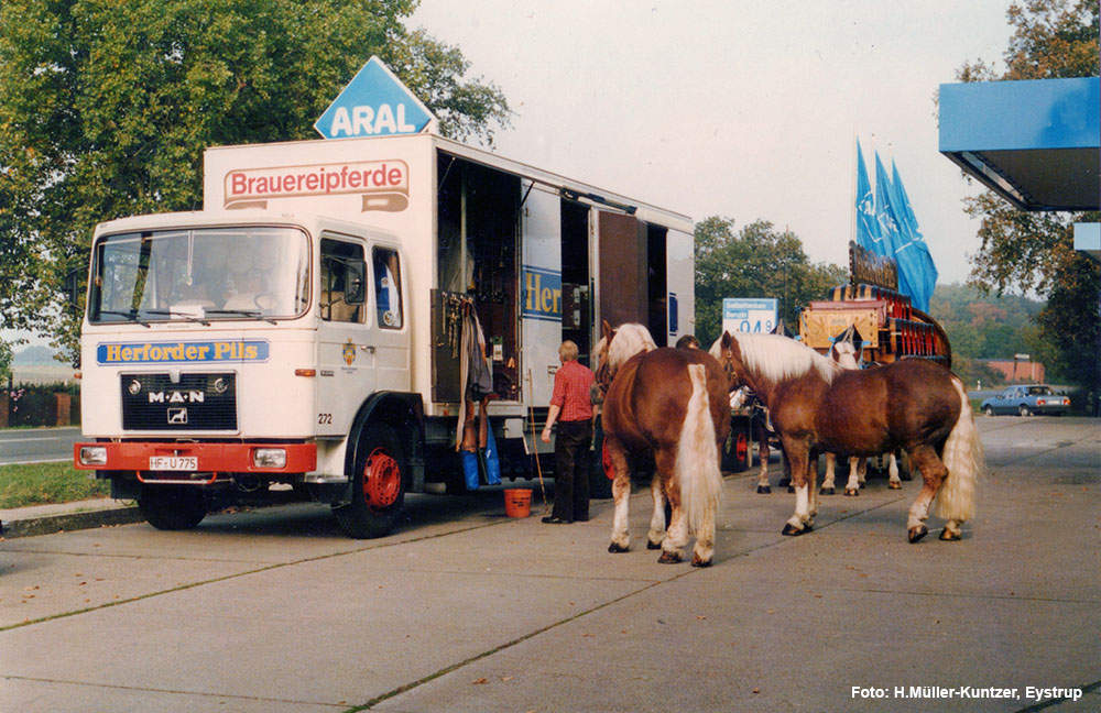 Brauereigespann der Felsenkeller Brauerei Herford