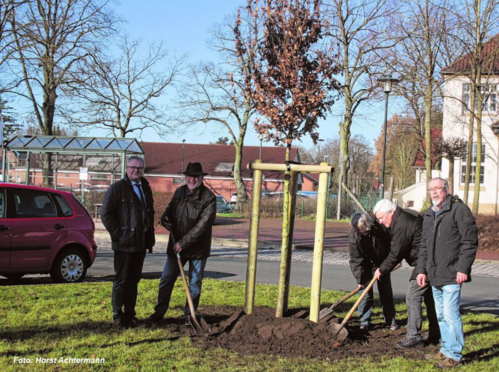 Anpflanzung einer neuen Eiche an historischer Stätte